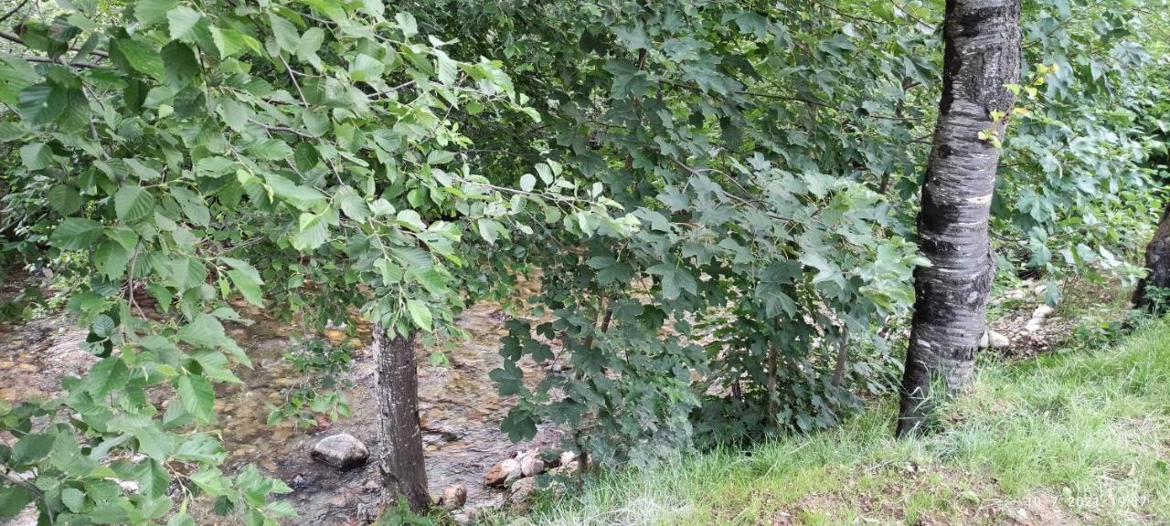 Apartmani Vuk 1 Kolašin Eksteriør bilde